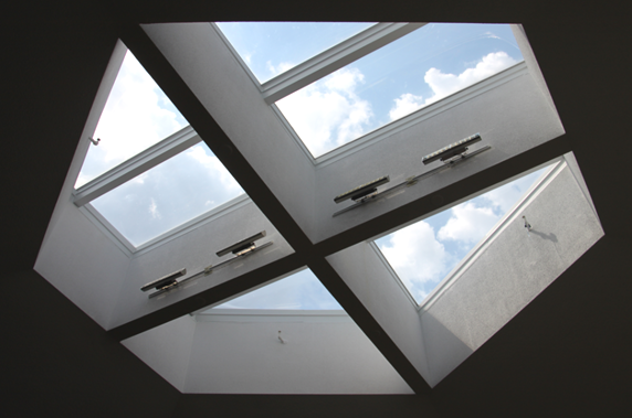 Dômes jumelés Série Verplex350 - Puits de lumière Verplex skylight